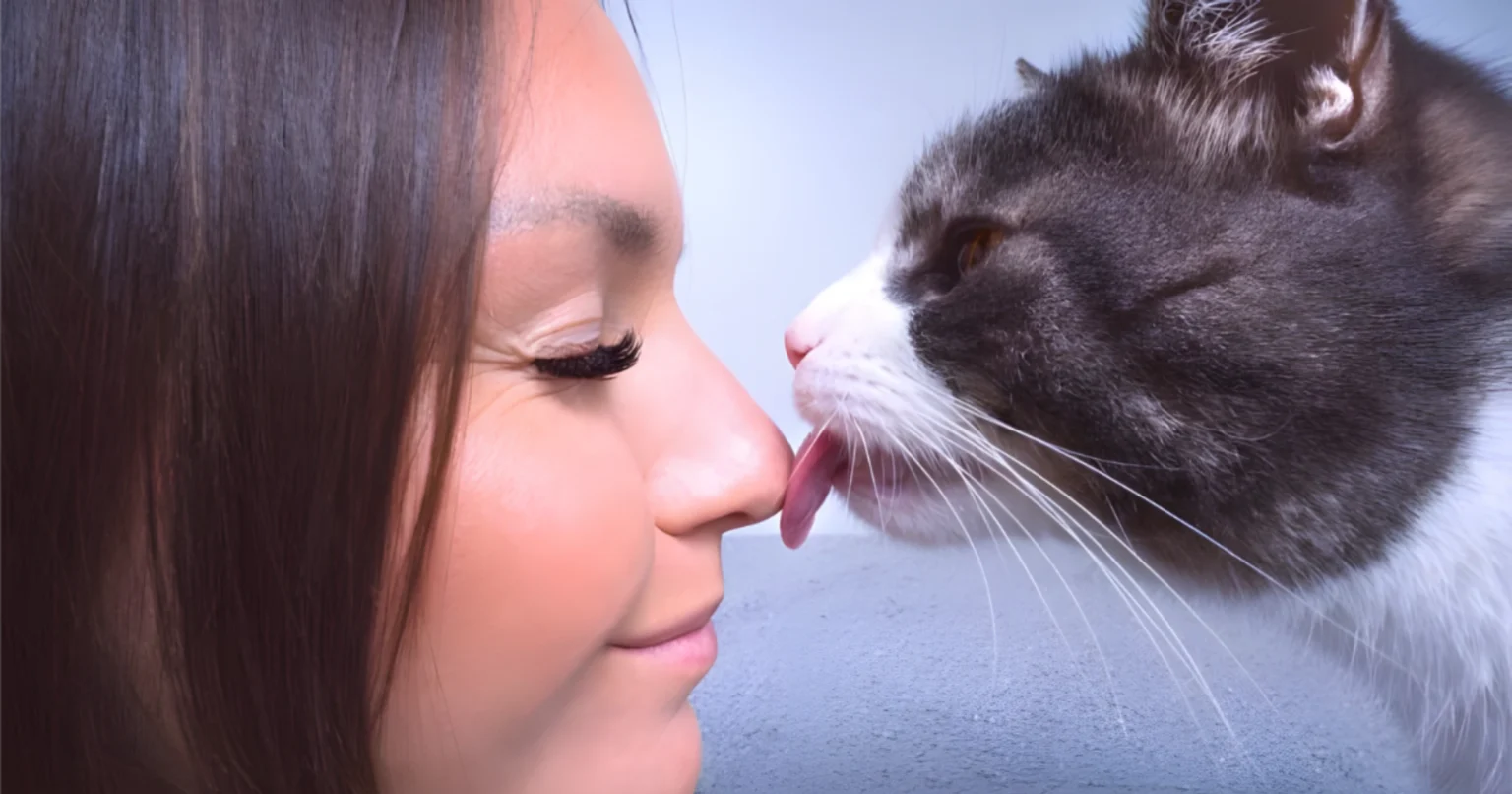 WhiskerWitty Cat Licks Human Shutterstock